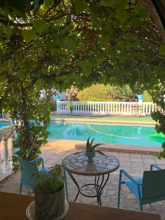 San Vicente Raspeig Rincon Mediterraneo מראה חיצוני תמונה